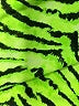 Cloud Ten Animal Print Green Athletic Shorts Size S - photo 4