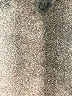 Wild Fable Solid Brown Casual Skirt Size XXS - photo 4