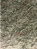 Ann Taylor Solid Blue Jeans Size 10 (tall) - photo 8