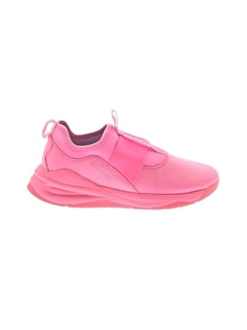 Clove Sneakers (view 1)