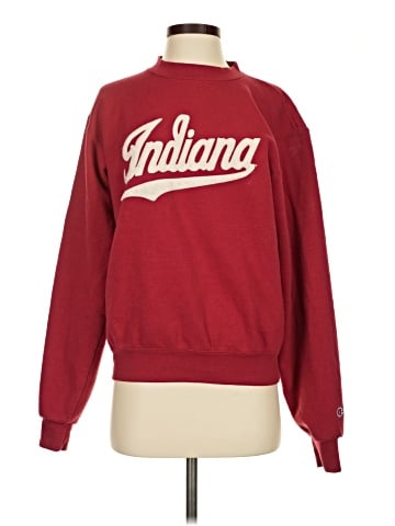 Champion Sweatshirt (view 1)