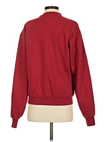 Champion Sweatshirt (view 2)