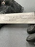 Zara Paisley Black Cocktail Dress Size XS - photo 9