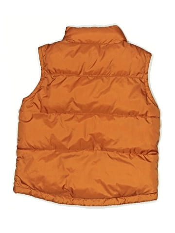 Gymboree Vest (view 2)