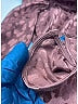 Gucci Brown Long Sleeve Blouse Size XL (estimated) - photo 13