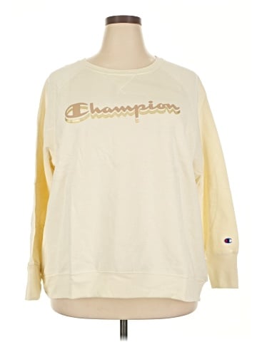 Champion Sweatshirt (view 1)