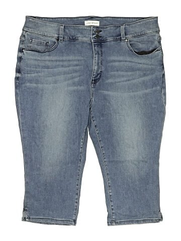 Lane Bryant Denim Shorts (view 1)