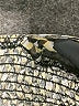 Rip Curl Gold Sleeveless Top Size S - photo 8