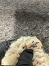 Sleeping On Snow Marled Ivory Wool Cardigan Size M - photo 8