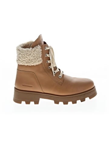 Cougar Ankle Boots (view 1)