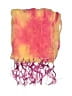 Unbranded Tie-dye Yellow Scarf One size - photo 2