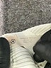 The Impeccable Pig Solid Ivory Formal Skirt Size S - photo 5