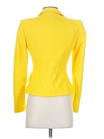 Zara Blazer (view 2)