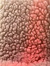 Koolaburra by UGG Solid Black Snow Jacket Size XL (estimated) - photo 6