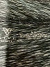 LIVI Active Chevron-herringbone Gray Black Active Pants Size 18 - 20 - photo 4