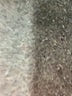 Gap Blue Jeans Size 28 waist - photo 8
