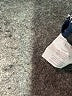 My Michelle 100% Polyester Blue Sleeveless Blouse Size S - photo 8