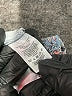 Ann Taylor LOFT Outlet Paisley Blue Shorts Size L - photo 4