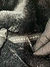 Andrew Marc Solid Gray Snow Jacket Size S - photo 6