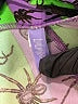 Lularoe Print Purple Active Pants Size 1X (Tall & Curvy) - photo 4