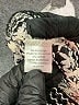 Blue Tassel Silver Short Sleeve Top Size XS - photo 8