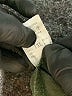 Unbranded Green Casual Pants Size 1X - photo 5
