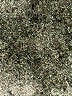 Forever 21 Animal Print Gold Casual Pants Size S - photo 7