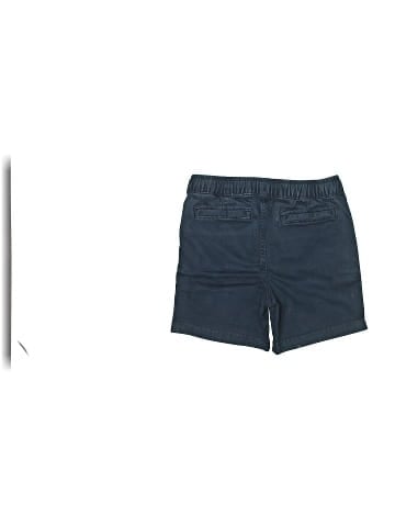 Nordstrom Shorts (view 2)