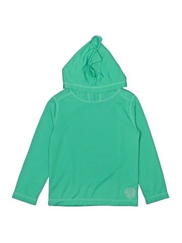 Baby Gap Pullover Hoodie (view 1)