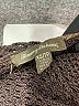 Tommy Bahama Brown Cardigan Size XS - photo 7