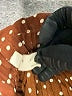 Assorted Brands 100% Polyester Polka Dots Brown Casual Skirt Size M - photo 4