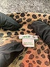 Aerie Animal Print Gold Shorts Size S - photo 3