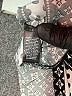 Mlle Gabrielle Print Gray Casual Dress Size M - photo 8