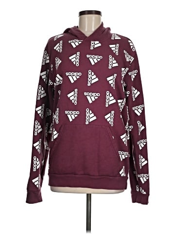 Adidas Pullover Hoodie (view 1)
