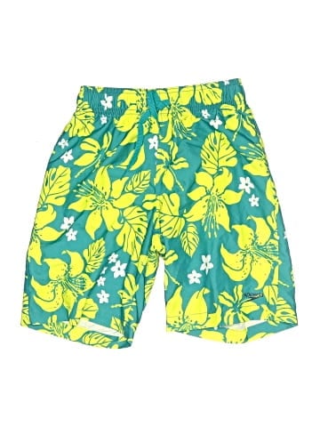 Speedo Board Shorts (view 1)