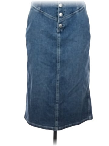Adriano Goldschmied Denim Skirt (view 1)