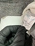 Draper James 100% Cotton Gray Sweatshirt Size 1X - photo 9