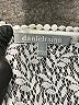 Daniel Rainn 100% Rayon White Short Sleeve Blouse Size L - photo 7