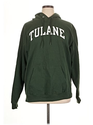 Champion Pullover Hoodie (view 1)