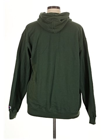 Champion Pullover Hoodie (view 2)