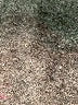 Xhilaration Floral Gray Cocktail Dress Size S - photo 9