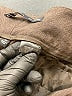 The Limited Outlet Brown Casual Pants Size 12 - photo 5