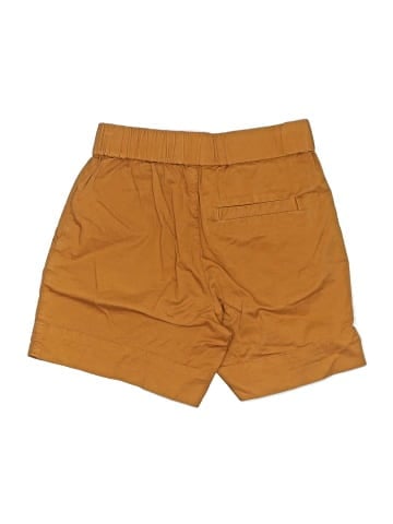 Everlane Khaki Shorts (view 2)