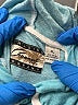 Assorted Brands Teal Pullover Hoodie Size XL - photo 7