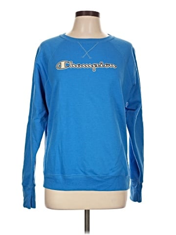 Champion Sweatshirt (view 1)