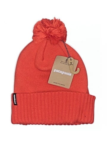 Patagonia Beanie (view 1)