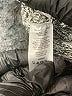 Lou & Grey Gray Pullover Sweater Size XL - photo 8