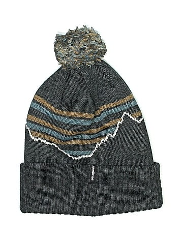 Patagonia Beanie (view 1)