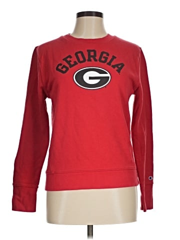 Champion Sweatshirt (view 1)