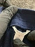Caslon Solid Blue Track Pants Size M - photo 7